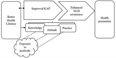 Knowledge, attitude, and practice of pesticide use by vegetable growers in Bangladesh: a health literacy perspective in relation to non-communicable diseases